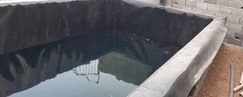 استخر ژئوممبران